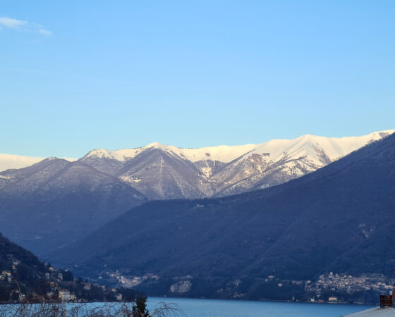 La (solita) strada nel bosco