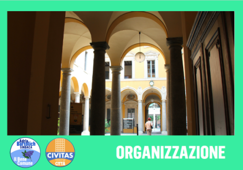 Organizzazione