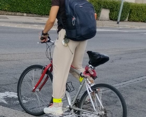 Riguardo ai nuovi divieti nella città di Como